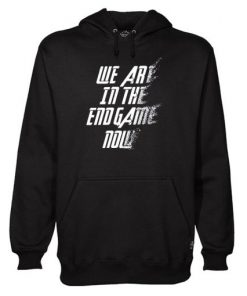 We Are In The Endgame Now Hoodie